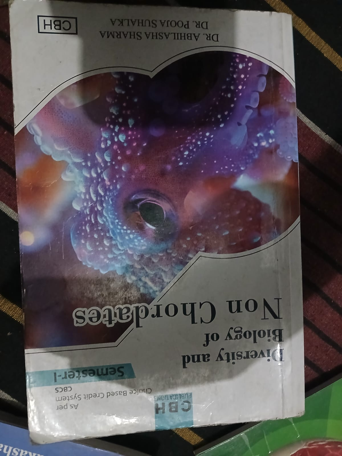 non chordates CBH semester 1th