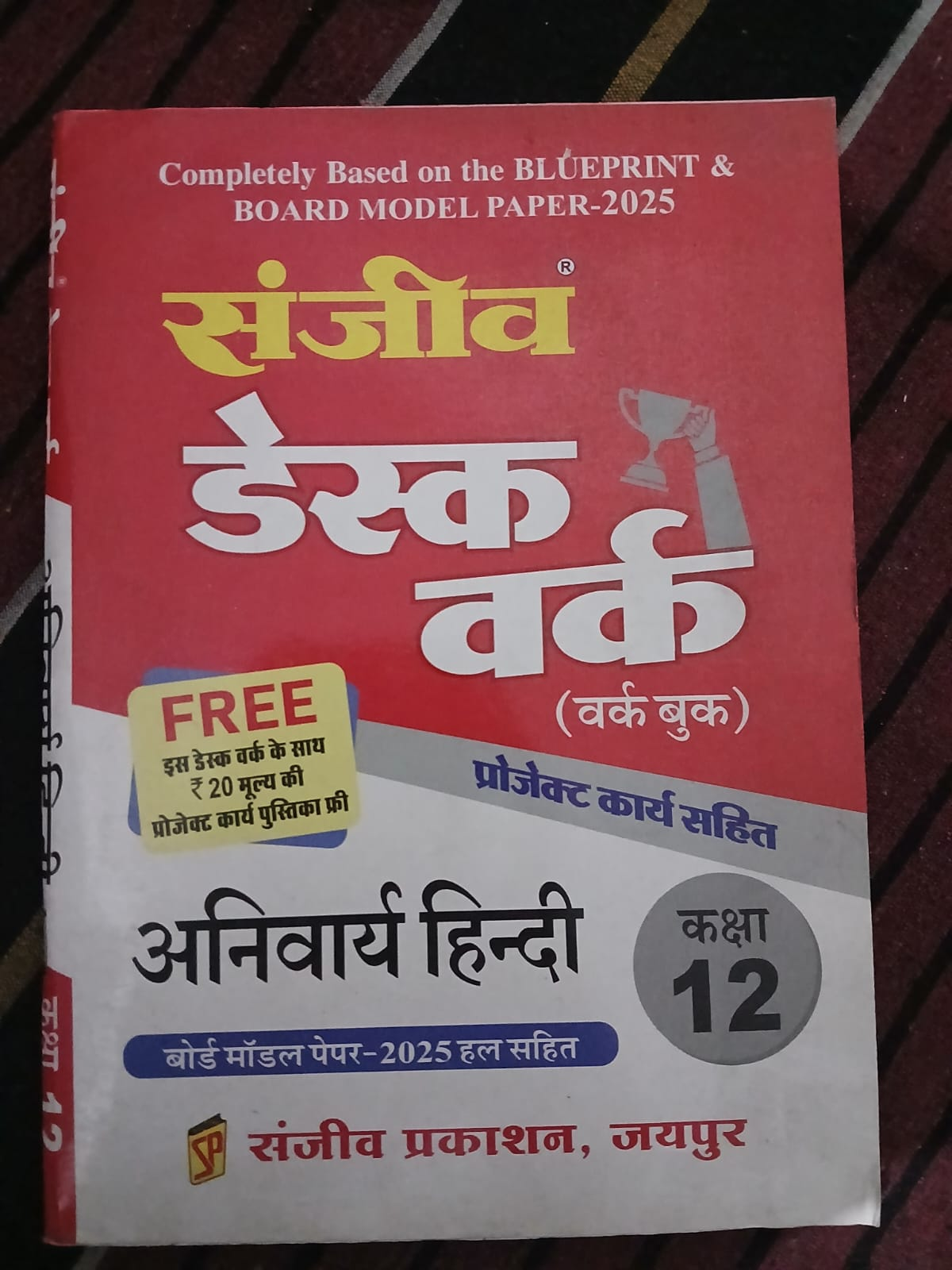 sanjiv desk work anivariya hindi 12th