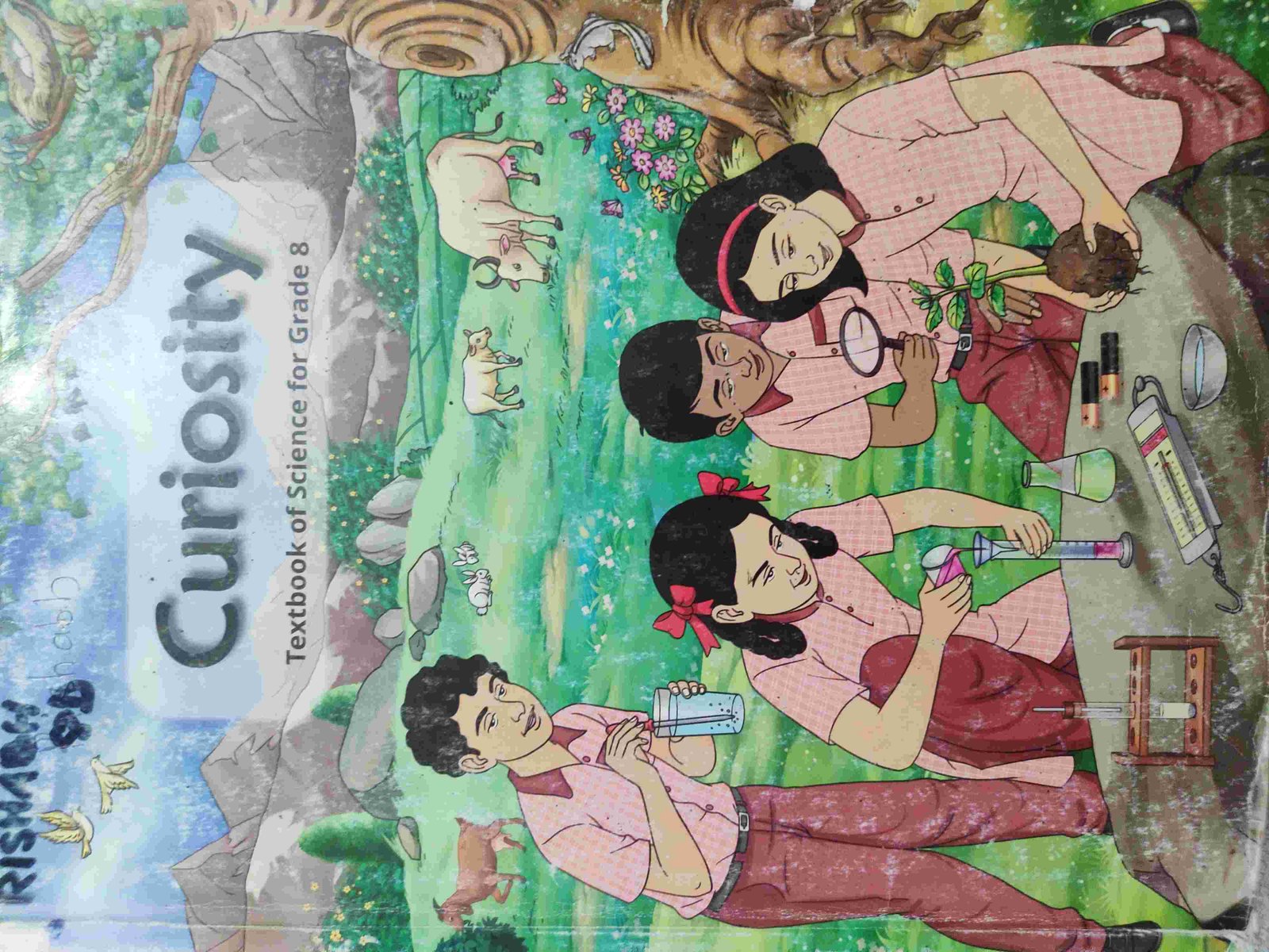 Curiosity Grade 8