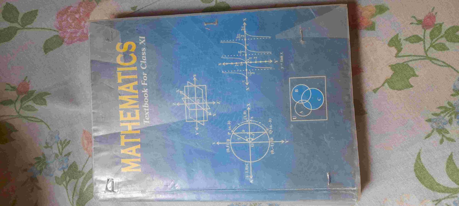 NCERT Mathematics class 11