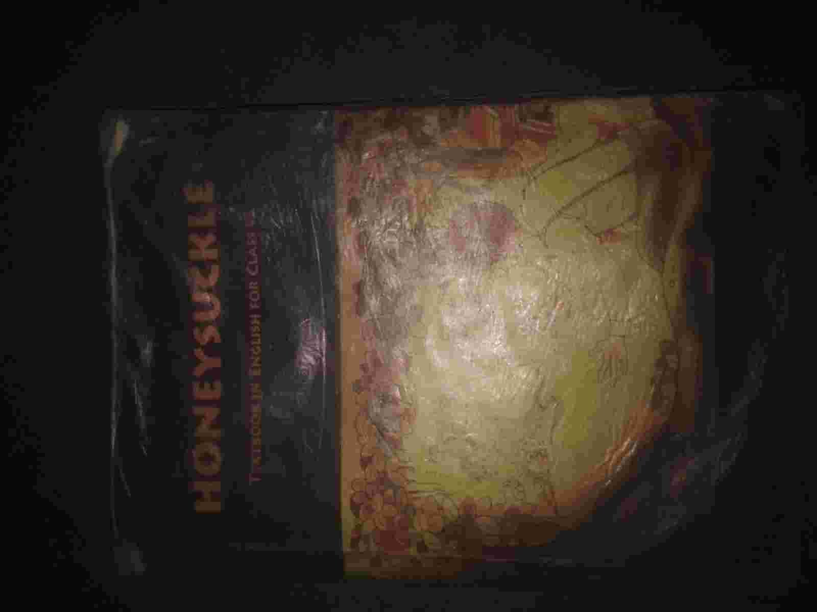 Hone skull class 6 eng prose book